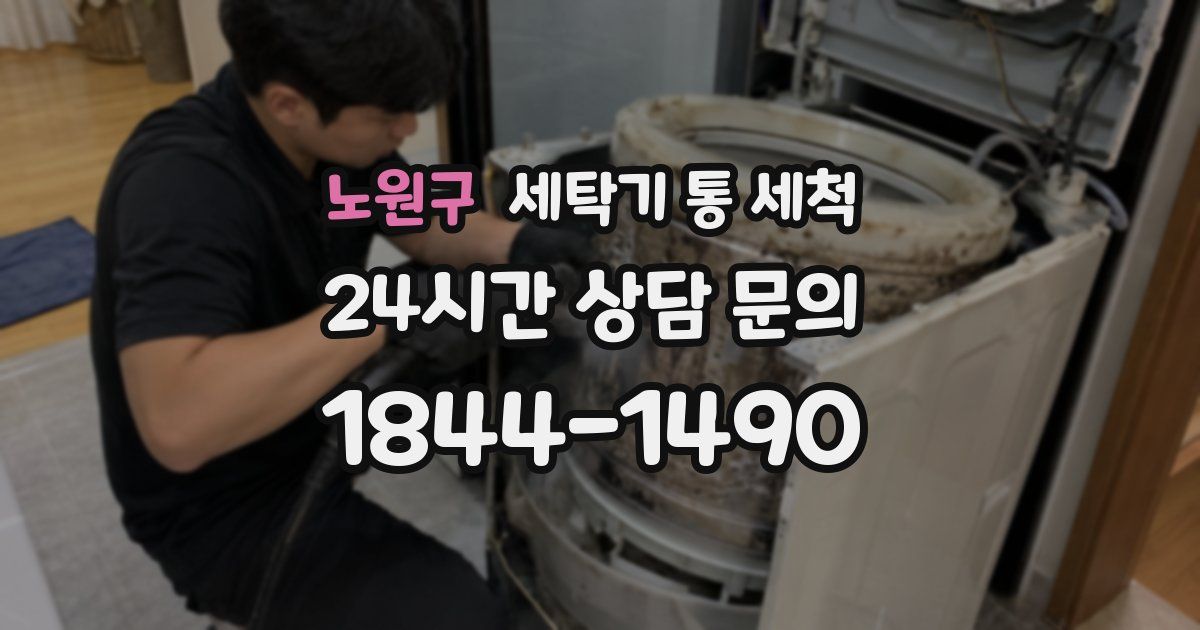노원구 세탁기 통 세척