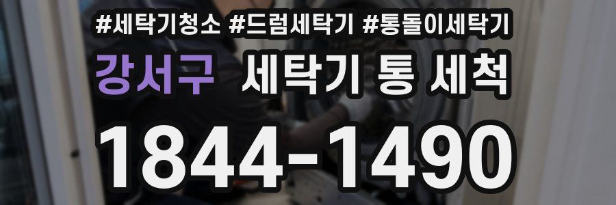 강서구 세탁기 통 세척