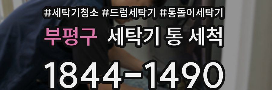 부평구 세탁기 통 세척