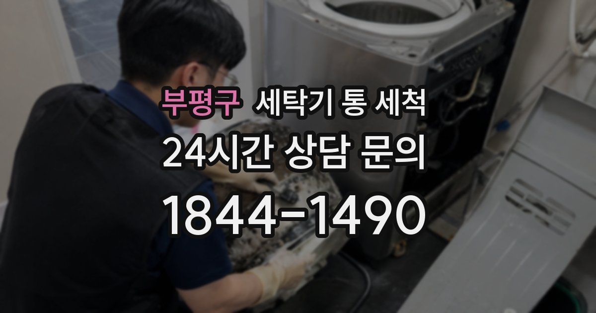 부평구 세탁기 통 세척