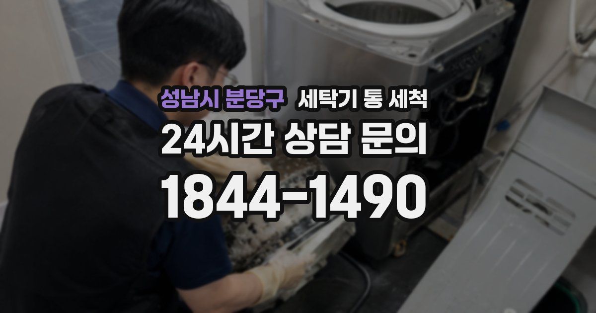 성남시 분당구 세탁기 통 세척