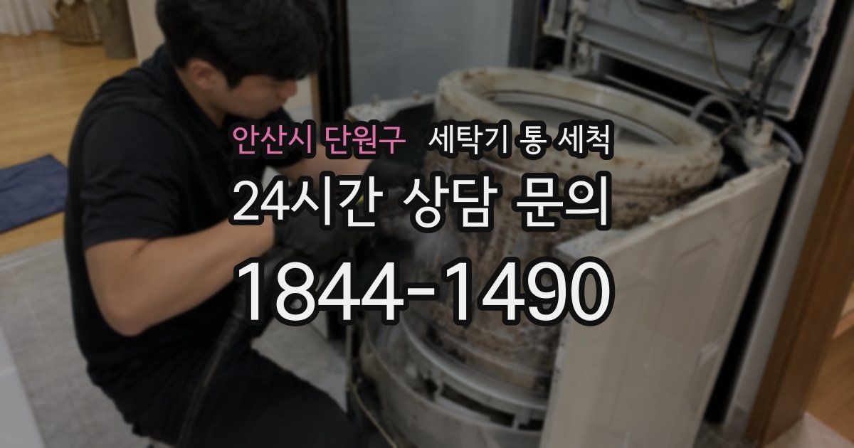 안산시 단원구 세탁기 통 세척