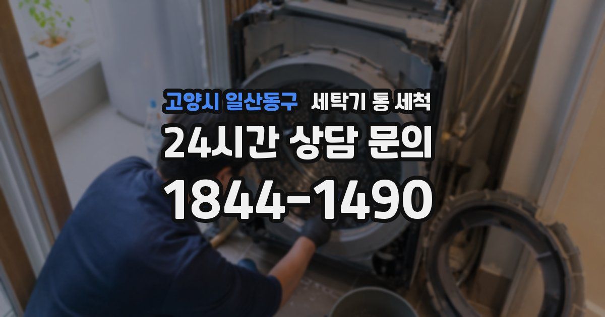 고양시 일산동구 세탁기 통 세척