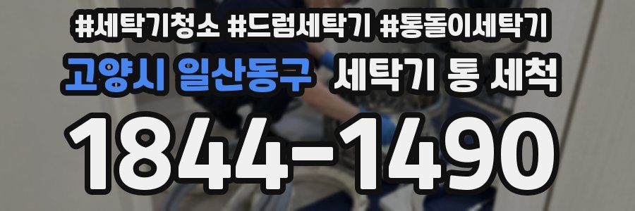 고양시 일산동구 세탁기 통 세척