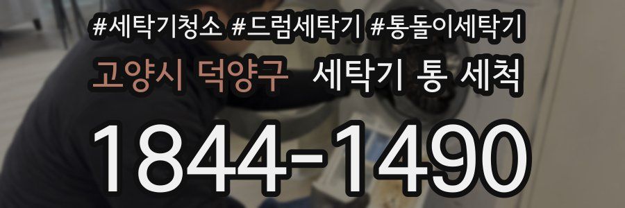 고양시 덕양구 세탁기 통 세척