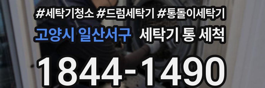 고양시 일산서구 세탁기 통 세척