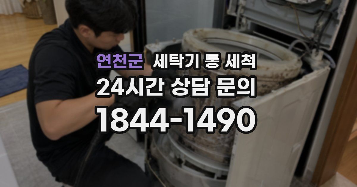 연천군 세탁기 통 세척
