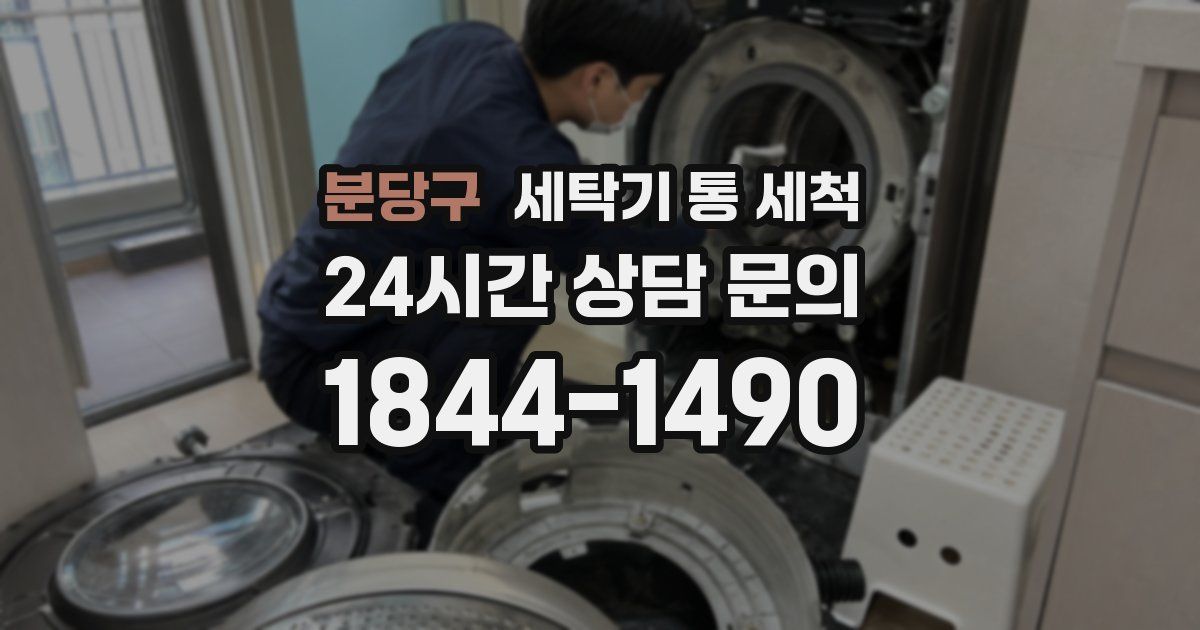 분당구 세탁기 통 세척