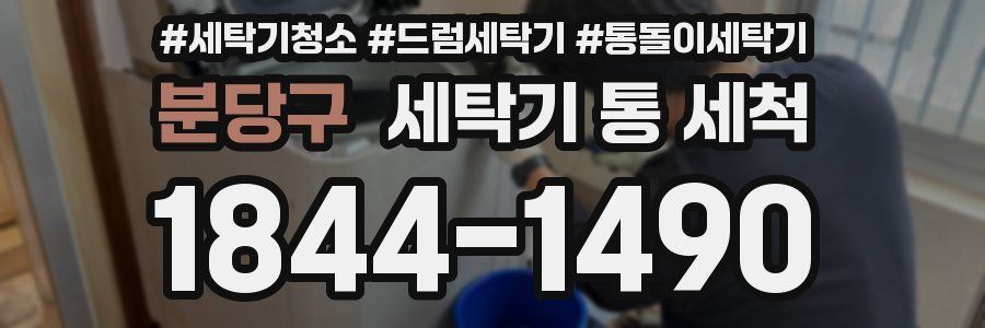 분당구 세탁기 통 세척