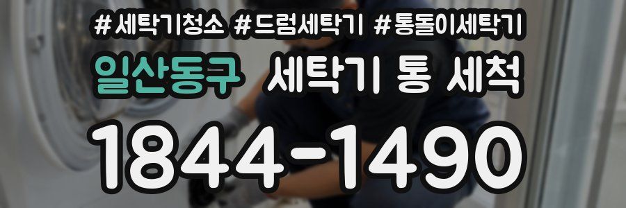 일산동구 세탁기 통 세척
