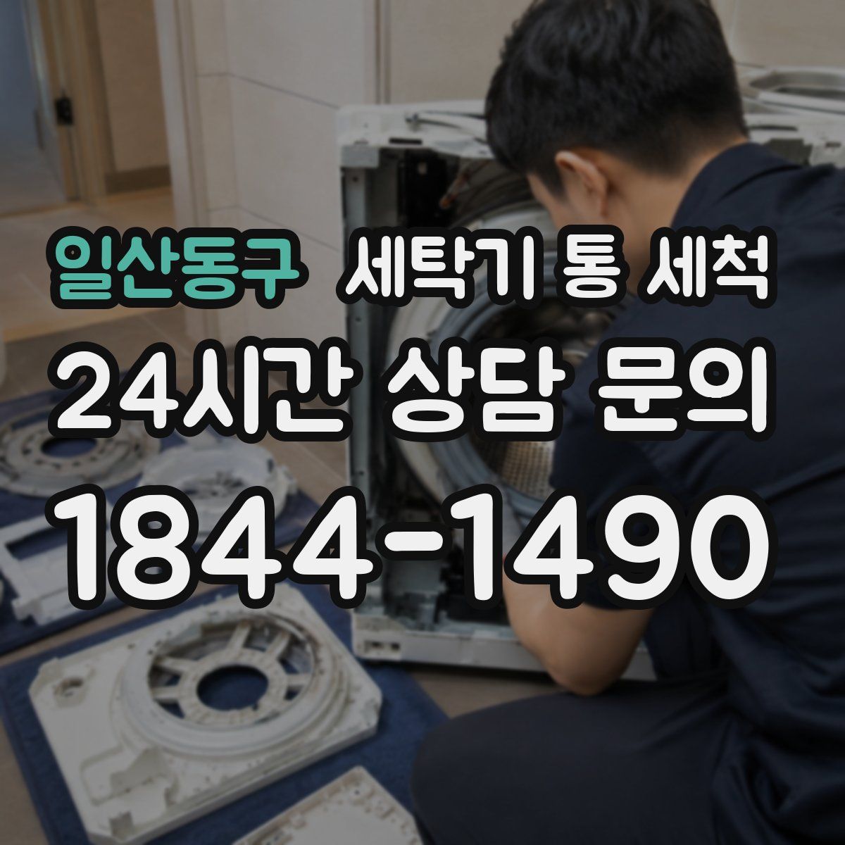 일산동구 세탁기 통 세척