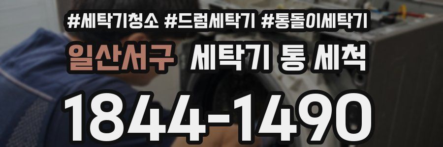 일산서구 세탁기 통 세척
