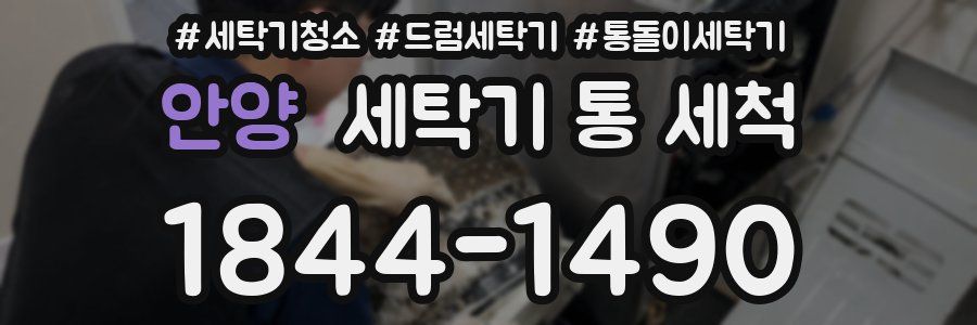 안양 세탁기 통 세척