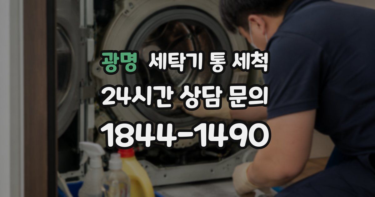 광명 세탁기 통 세척