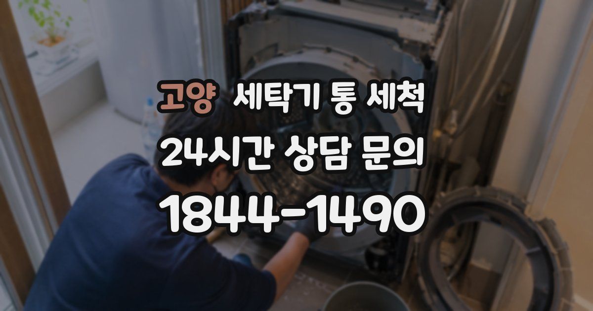 고양 세탁기 통 세척