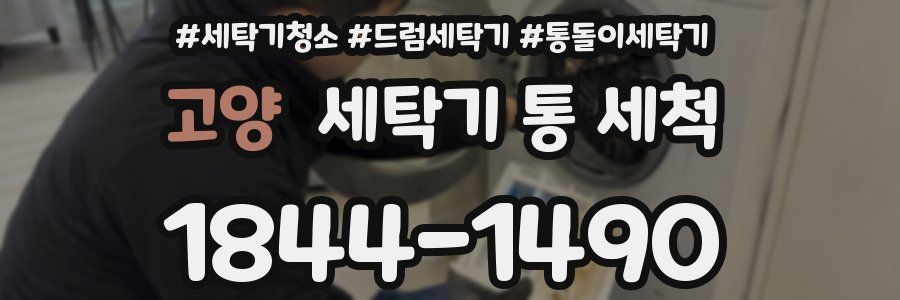 고양 세탁기 통 세척
