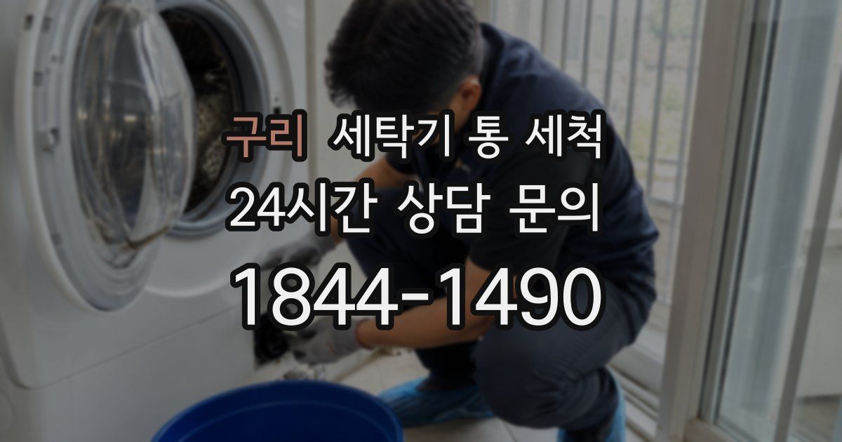 구리 세탁기 통 세척