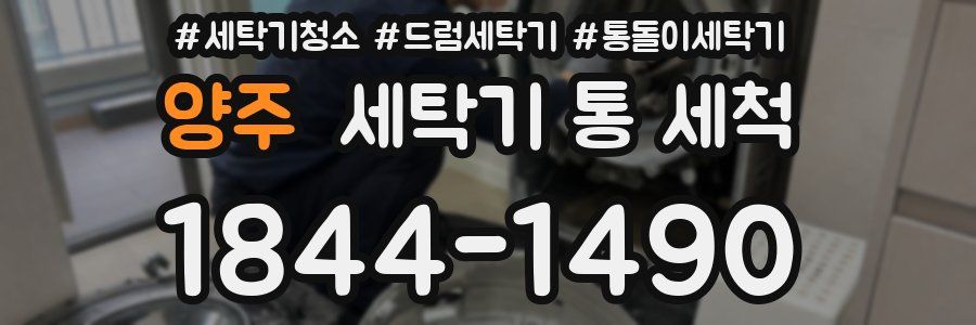 양주 세탁기 통 세척