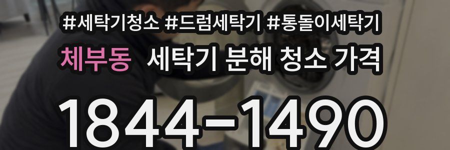 체부동 세탁기 분해 청소 가격