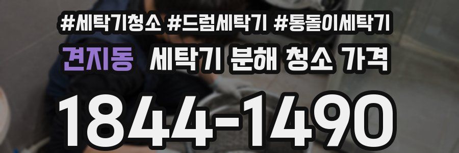 견지동 세탁기 분해 청소 가격