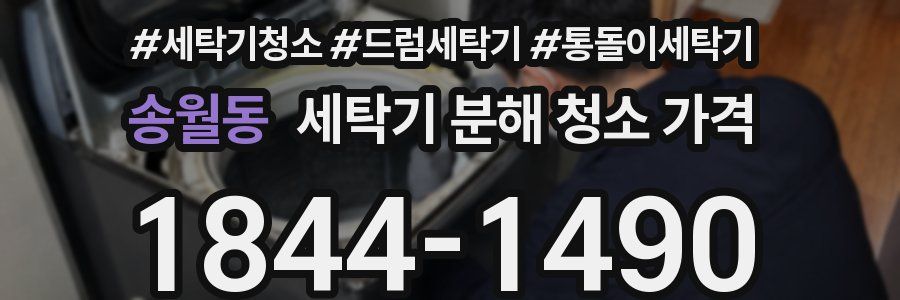 송월동 세탁기 분해 청소 가격