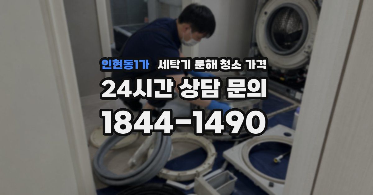 인현동1가 세탁기 분해 청소 가격