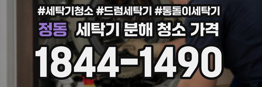 정동 세탁기 분해 청소 가격