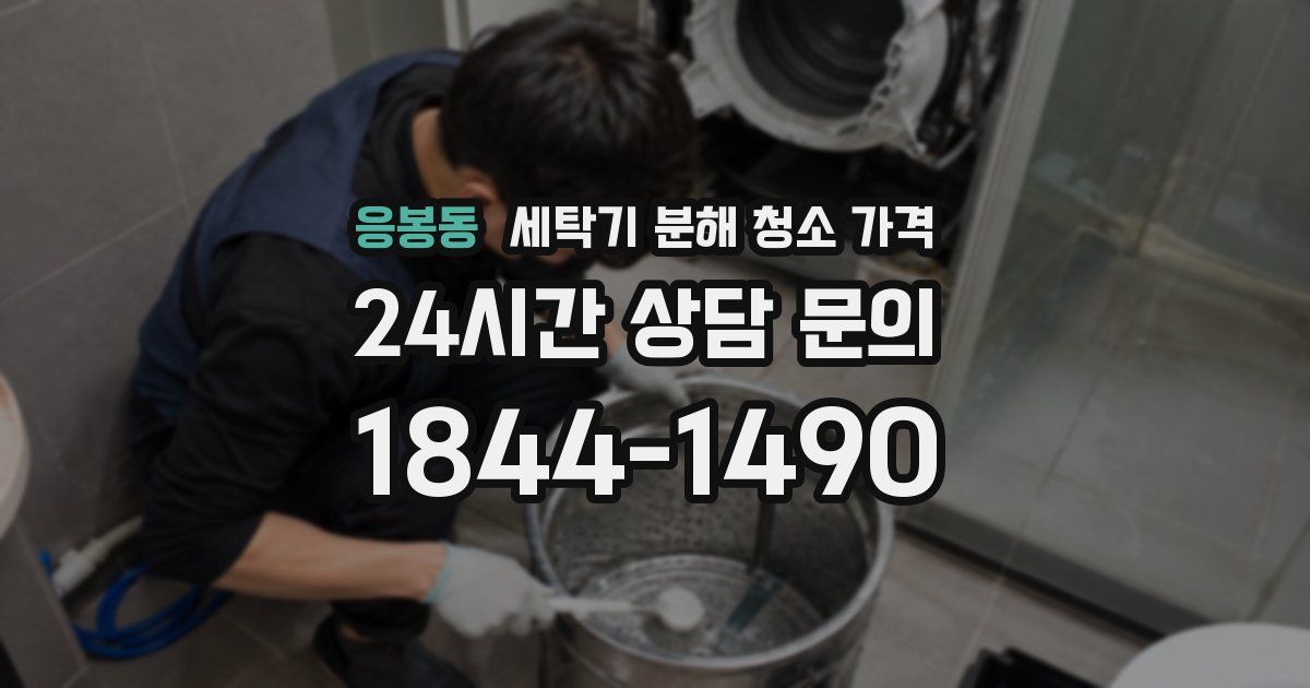 응봉동 세탁기 분해 청소 가격
