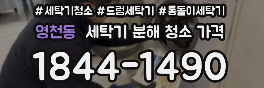 영천동 세탁기 분해 청소 가격