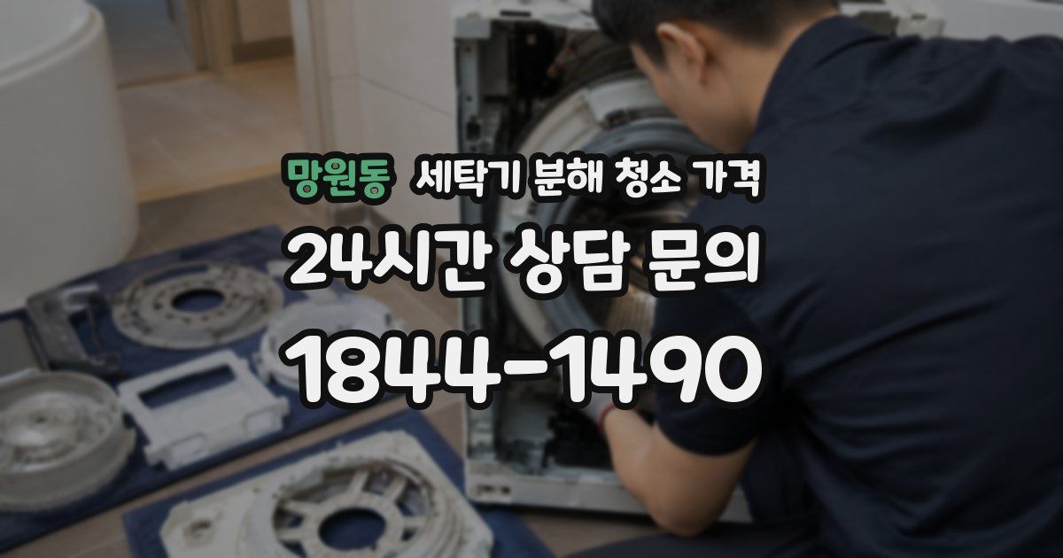 망원동 세탁기 분해 청소 가격