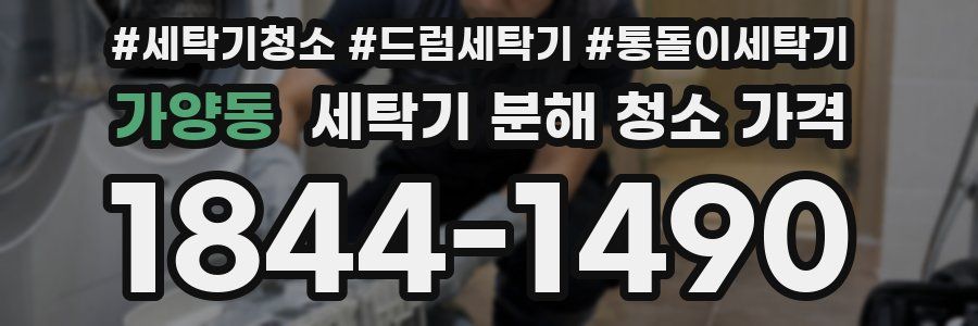 가양동 세탁기 분해 청소 가격