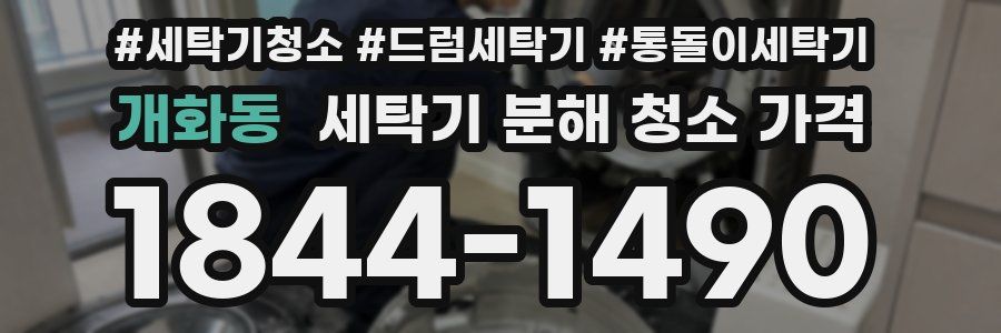 개화동 세탁기 분해 청소 가격
