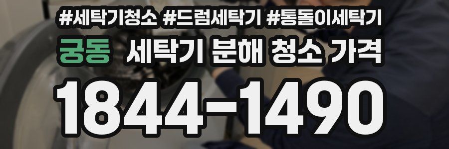 궁동 세탁기 분해 청소 가격
