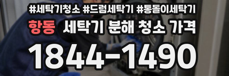 항동 세탁기 분해 청소 가격