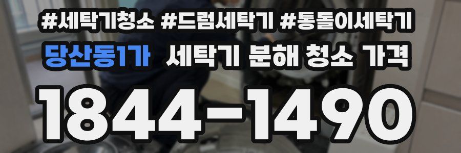 당산동1가 세탁기 분해 청소 가격