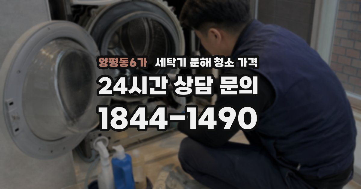 양평동6가 세탁기 분해 청소 가격