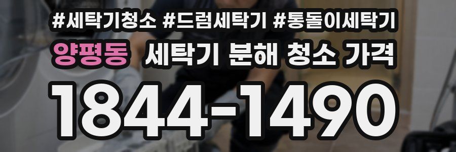양평동 세탁기 분해 청소 가격