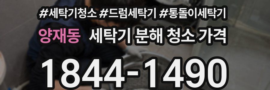 양재동 세탁기 분해 청소 가격