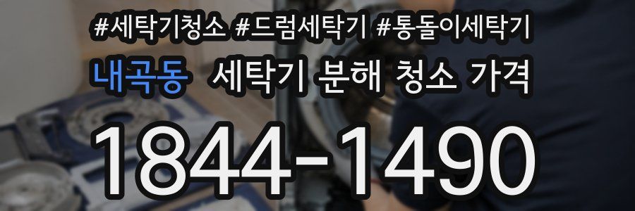 내곡동 세탁기 분해 청소 가격