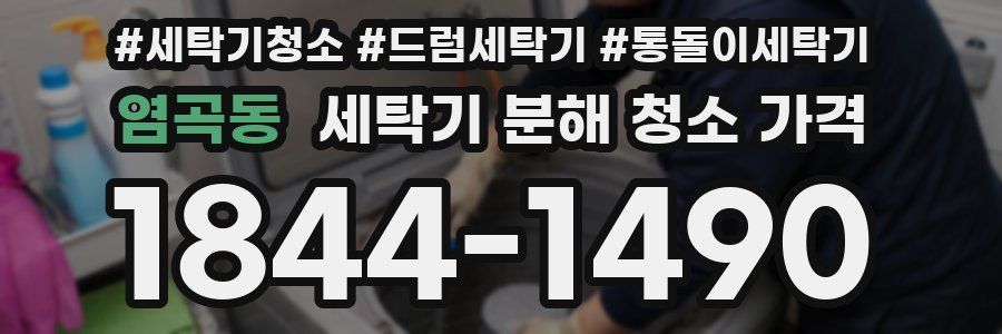 염곡동 세탁기 분해 청소 가격