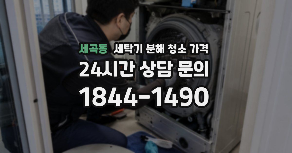 세곡동 세탁기 분해 청소 가격