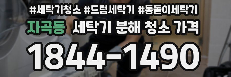 자곡동 세탁기 분해 청소 가격