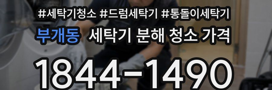부개동 세탁기 분해 청소 가격