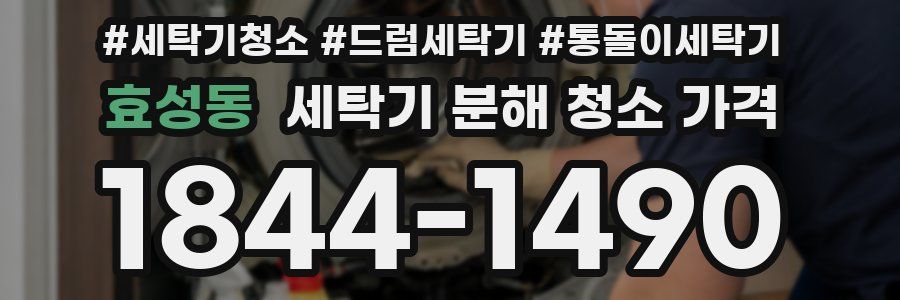 효성동 세탁기 분해 청소 가격