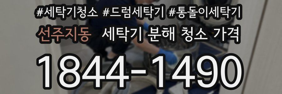 선주지동 세탁기 분해 청소 가격
