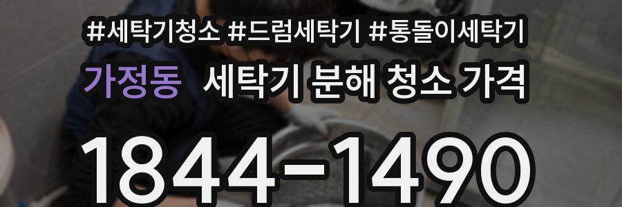 가정동 세탁기 분해 청소 가격