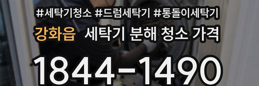 강화읍 세탁기 분해 청소 가격