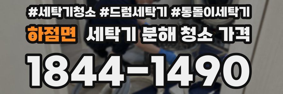 하점면 세탁기 분해 청소 가격