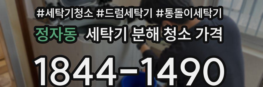 정자동 세탁기 분해 청소 가격