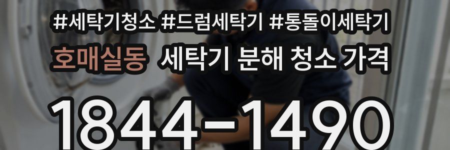 호매실동 세탁기 분해 청소 가격